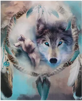 рисунок волк в лицо PNG , волк, волк в лицо, животное в лицо PNG картинки и  пнг рисунок для бесплатной загрузки