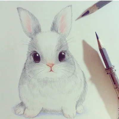 Рисунки животных цветными карандашами | Пикабу