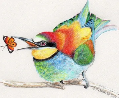 Легкие цветные рисунки животных для срисовки - 68 фото