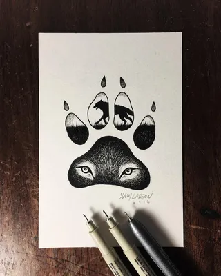 Простые рисунки животных для срисовки - 64 фото