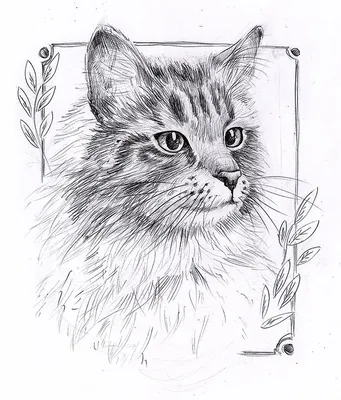 Рисунки для срисовки карандашом животные мультяшные - 63 фото