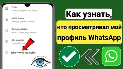 5 обновлений статуса WhatsApp — SMM-продажник от Лары и Пронина