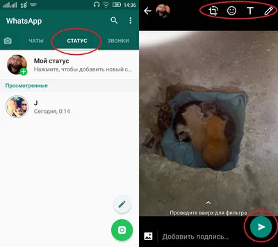 Как продвигаться через статусы в WhatsApp? — Наталия Пигаленкова на  TenChat.ru