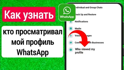 Как переслать статус из WhatsApp в Facebook, Instagram, Telegram, Viber и  т.д. | DonBao | Дзен