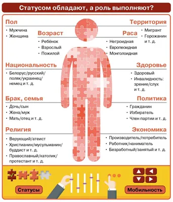 Обновление статуса заявления