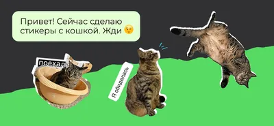 Самые популярные стикеры WhatsApp, которые используются в 2023 году