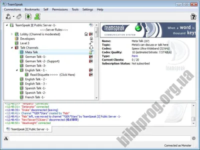 Installing a TeamSpeak server in Windows Server | TransIP