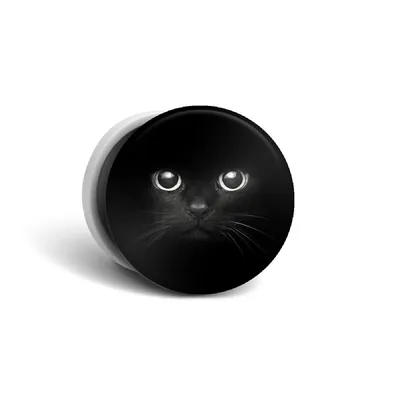 Попсокет белый с рисунком Взгляд черной кошки / Держатель для телефона  круглый с принтом - купить с доставкой по выгодным ценам в  интернет-магазине OZON (182761889)