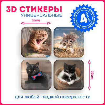 кошка использует приложение веб-знакомств на мобильном телефоне Стоковое  Фото - изображение насчитывающей кошачий, сообщение: 229448820