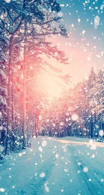 Фотографировать зимы телефона Стоковое Изображение - изображение  насчитывающей гора, люди: 63069257