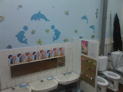 Туалет в детском саду (65 фото)