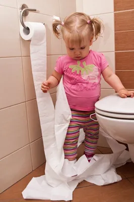 Перегородки в ванной в детском саду: как спроектировать комфортную и  гигиеничную обстановку [82 фото]