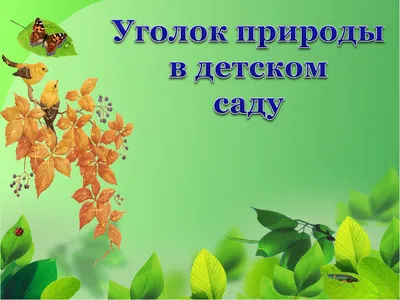 Уголок природы для детского сада \"Деревце\" (ID#737334302), цена: 399 ₴,  купить на Prom.ua
