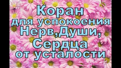 🙏 Молитва Матроне Московской для успокоения души и сердца #православие  #евангелие #православнаяцерковь #вера #любовь #и… | Молитвы, Мудрые цитаты,  Семейная молитва