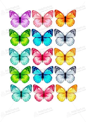Картинка для торта \"Бабочки\" - PT100060 печать на сахарной пищевой бумаге