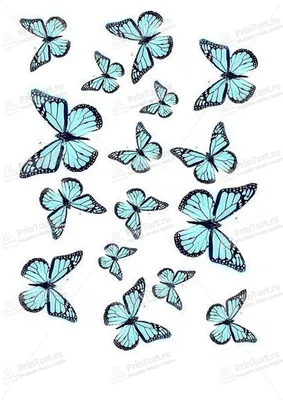 Картинка для торта \"Бабочки\" - PT100072 печать на сахарной пищевой бумаге |  Бесплатные трафареты, Трафареты для печати, Бабочки