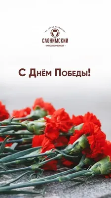 Поздравление c праздником 9 мая - Днем Победы и. о. ректора Перовой Е.Ю.  ФГБОУ ВО \"Восточно-Сибирский государственный институт культуры\"