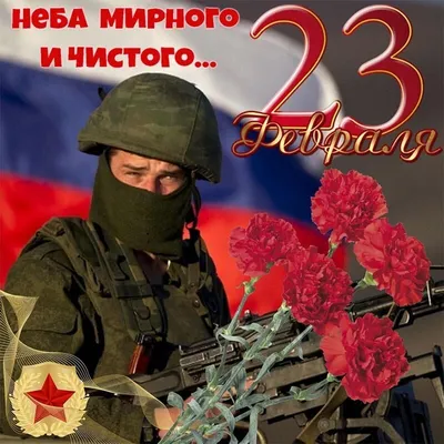 В России отмечают День защитника Отечества – подобрали для вас лучшие  открытки для WhatsApp | 23.02.2023 | Омск - БезФормата
