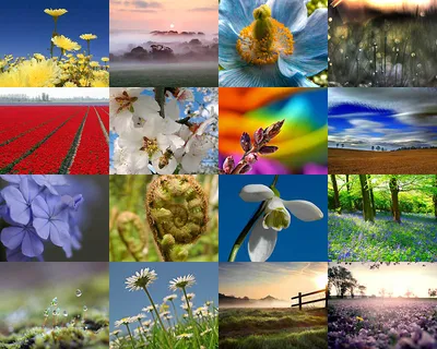 Природа весны в ретро стиле Стоковое Фото - изображение насчитывающей весна,  небеса: 40836778