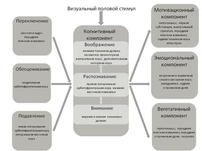 Как подать заявление о возбуждении уголовного дела в Новосибирске —  Алмаз.МФЦ