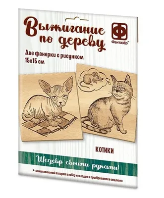 Каталог НАБОР ДЛЯ ВЫЖИГАНИЯ ПО ДЕРЕВУ (А4. в блистере). ДОМАШНИЕ ЖИВОТНЫЕ  (Рыжий кот) от магазина Одежда+