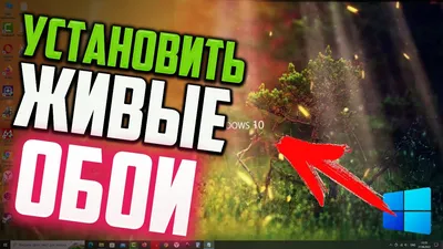 Как установить ЖИВЫЕ ОБОИ на Рабочий стол Windows 10 - YouTube