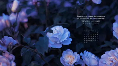 Вдохновляющие обои с календарями и цитатами на май 2022 года - Блог  издательства «Манн, Иванов и Фербер»
