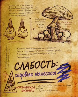 Книга Гравити Фолз. Дневник 3 Алекс Хирш в продаже на OZ.by, купить детские  книги комиксов по выгодным ценам в Минске