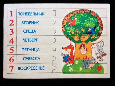 Первые уроки. Раскраска. Дни недели - купить книгу с доставкой в  интернет-магазине «Читай-город». ISBN: 978-5-37-500459-4