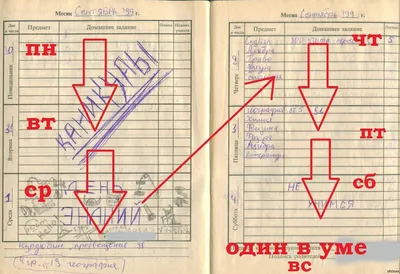 Дни недели и части суток: 12 цветных карточек - купить дошкольного обучения  в интернет-магазинах, цены на Мегамаркет | Н-276