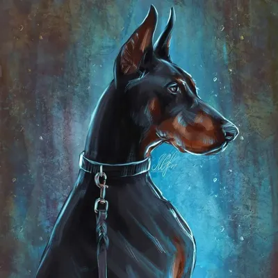 Галерея - Категория: Доберман - Файл: doberman_9