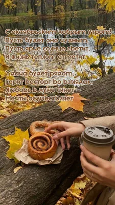 Осенняя гиф открытка \"Доброго утра и хорошей погоды!\" с котиком • Аудио от  Путина, голосовые, музыкальные