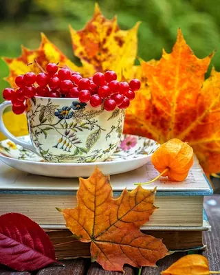 С первым октябрьским днём! Октябрь он такой красивый и коварный! ~ Открытка  (плейкаст)