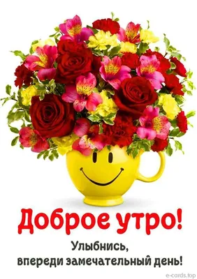 Купить Букет цветов \"Доброе утро\" №162 в Москве недорого с доставкой