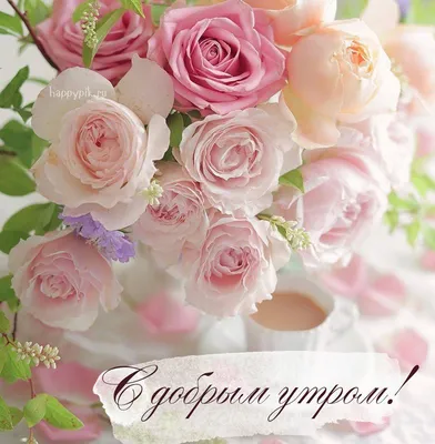 Купить Букет цветов \"Доброе утро\" №172 в Москве недорого с доставкой