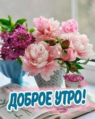 Букет «Доброе утро» — Доставка цветов по Москве | Купить цветы с доставкой  на roselepestki.ru