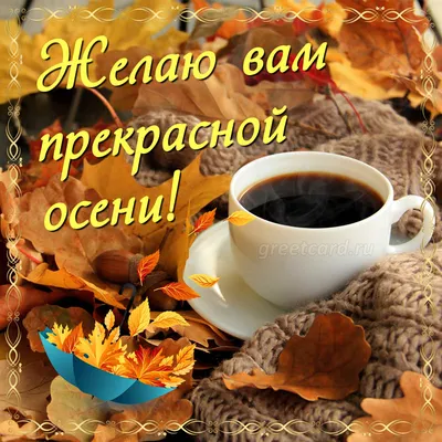 Доброго всем Утра т хорошего настроения ... Осень - это кофе с корицей ...  Галинка Багрецова | Лира Vision - Галинка Багрецова | Дзен