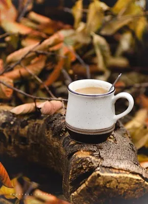 Красивый и романтический состав осенью с чашечкой кофе Стоковое Фото -  изображение насчитывающей кружка, горяче: 200873594