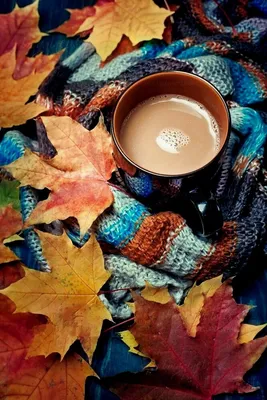 Pin by Нурлан Байкен on Доброе утро | Autumn tea, Autumn coffee, Coffee  break