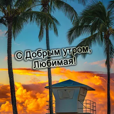 ☀️💋Красивые картинки С добрым утром любимой - скачать (246 шт.)