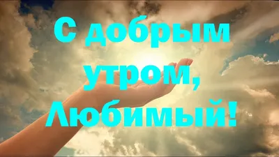 Картинки \"С Добрым Утром и Хорошего Дня!\" (256 шт.)