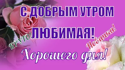 доброе_утро_хорошего_тебе🥰дня | TikTok