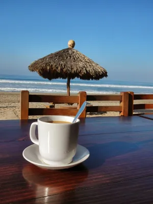 vysotskaia_toys - Доброе утро это когда так! 😁 Что может быть лучше кофе  на берегу моря?🌊☕ Всем доброе утро!!!😇 | Facebook