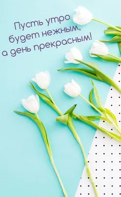 Доброго утра | Flower background iphone, Flowers photography wallpaper,  Flower wallpaper