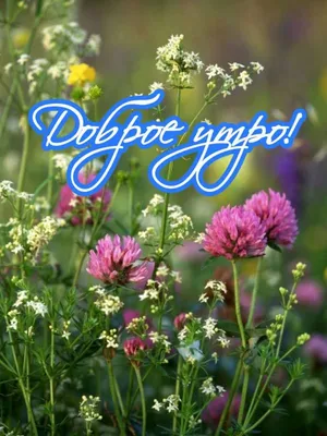 Развивающая игра «Доброе утро! Мы из Украины!»