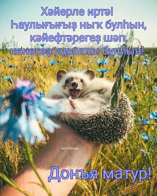 Пин от пользователя Venera Hafizova на доске Татарские открытки | Кочи, Доброе  утро