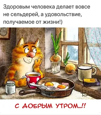 Николай в Instagram: «🤗#доброеутро #жизнь #здравствуй #июль 💕💯💣🌺» | Доброе  утро, Веселые картинки, Иллюстрации кошек