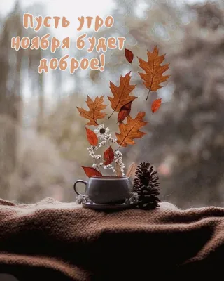 Доброе утро ноября - новые красивые открытки (47 ФОТО) | Доброе утро,  Открытки, Кофейные карточки