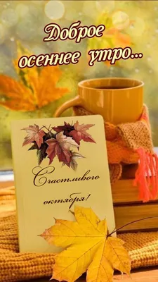 С Добрым утром октября☕🌻 | Открытки Тедди | ВКонтакте
