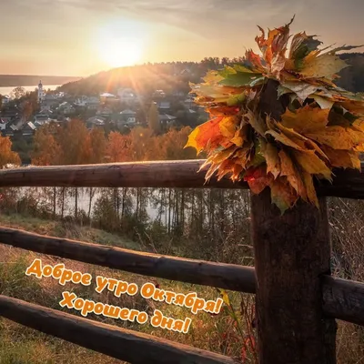 Доброе утро🍂 | Открытки Тедди | ВКонтакте